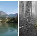 Fall Fun, Mom Lifestyle, a Retreat & Finding Dinosaurs