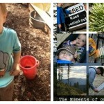 Shoulder Season, Birdfeeders, Catching Moments & Planting Trees