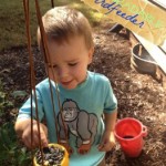 Bio-degradable Bird Feeder by CragMama