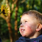 Through a Toddler’s Eyes: Reflections. Sentimental Snapshots. by CragMama