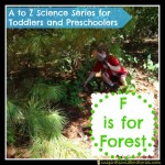 F is for Forest by Inspiration Laboratories