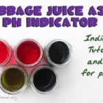 pH Cabbage indicator tutorial and labs by STEM Mom