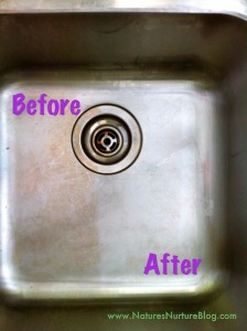 How to Make Your Stainless Steel Sinks Shine by Nature's Nurture