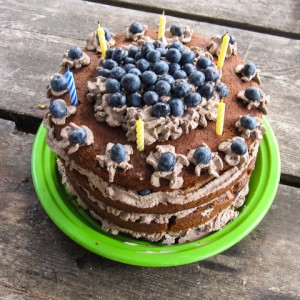 Blueberry Gingerbread Cake
