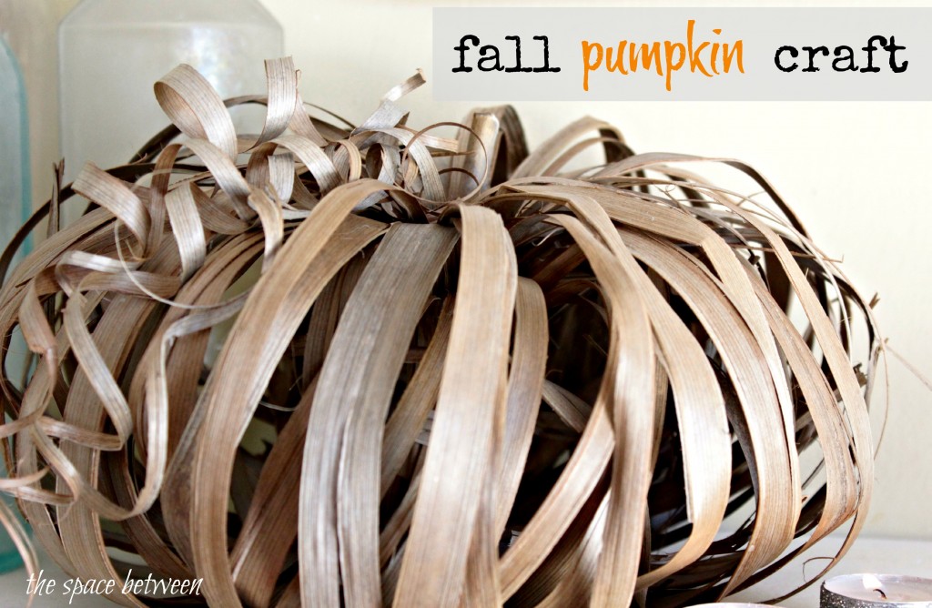 Fall Pumpkin Craft by The Space Between