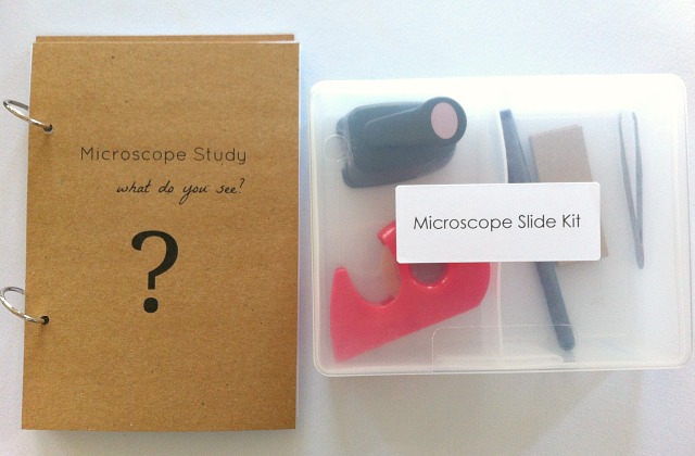 DIY Microscope Slide Kit for kids by How We MontessoriDIY Microscope Slide Kit for kids by How We Montessori