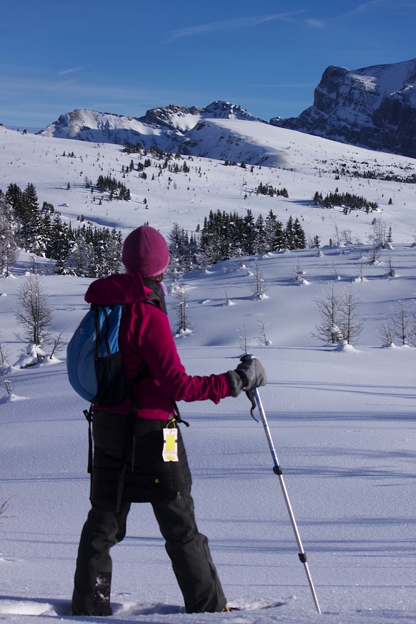 Move Over Skis – Hello Snowshoes by Family Adventures in the Canadian Rockies