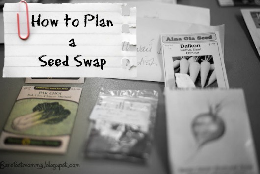 Planning a Seed Swap