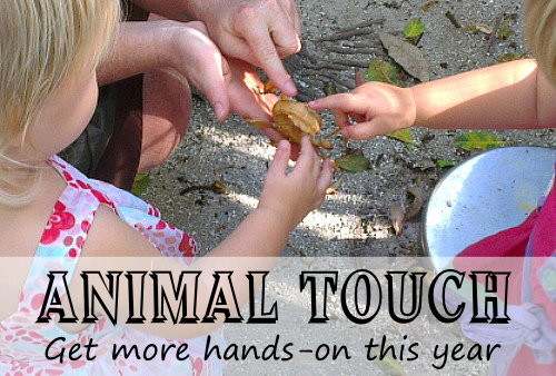 Animal Touch: Get More Hands On This Year by Wildlife Fun 4 KidsAnimal Touch: Get More Hands On This Year by Wildlife Fun 4 Kids