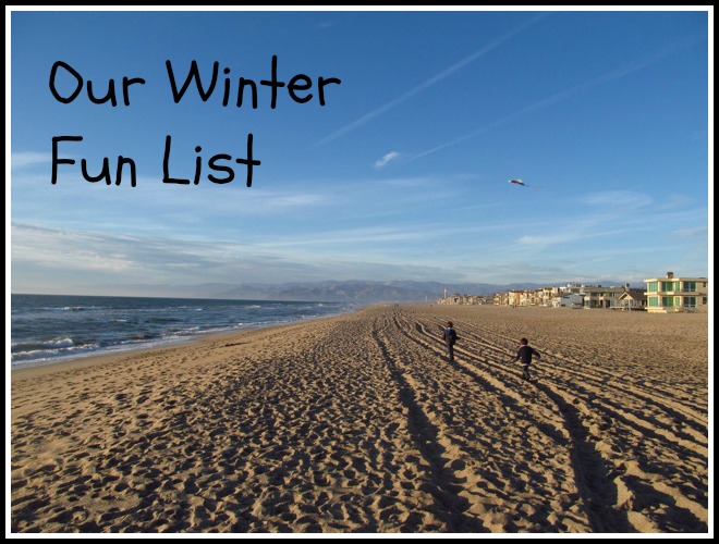 Winter Fun List Go Explore Nature