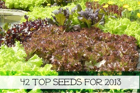 42 TOP SEEDS FOR 2013