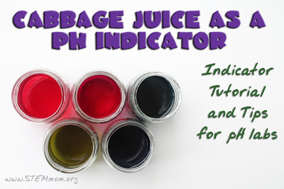 pH Cabbage indicator tutorial and labs by STEM Mom