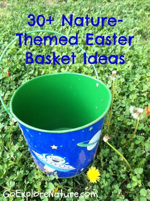 30+ Nature-Themed Easter Basket Ideas by Go Explore Nature