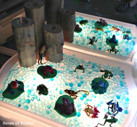 frog pond light table activities