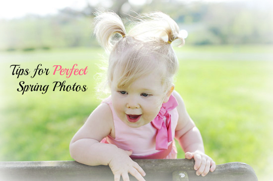 tips for perfect spring photos