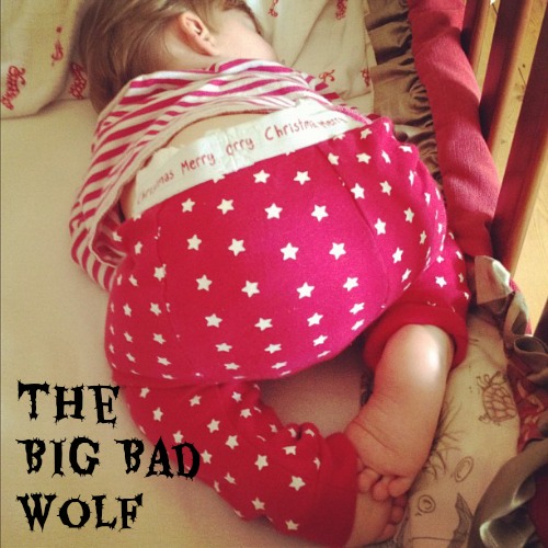 The Big Bad Wolf by Callie and Chef
