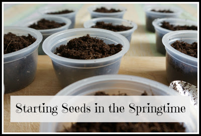 starting seeds springtime button