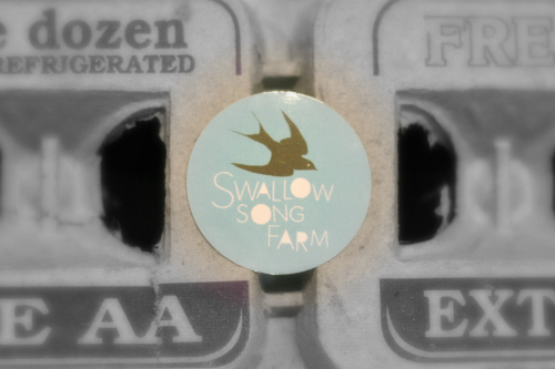 swallow song farm
