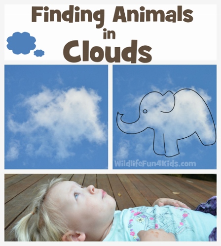 Finding Animals in Clouds by Wildlife Fun 4 Kids