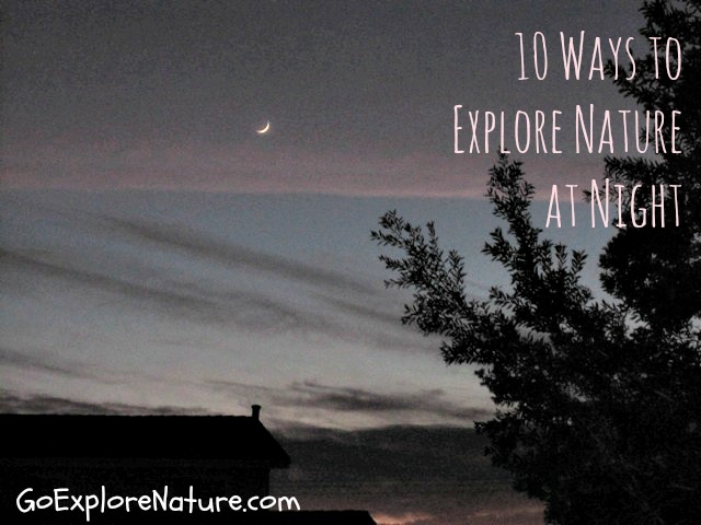 10 Ways to Explore Nature at Night by Go Explore Nature