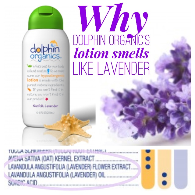 Why Dolphin Organic's lotion smells like lavender