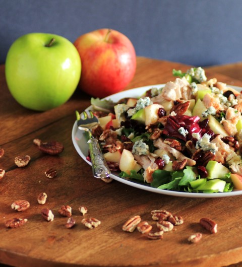 Copycat Wendy's Apple Pecan Chicken Salad by Noshing with the Nolands