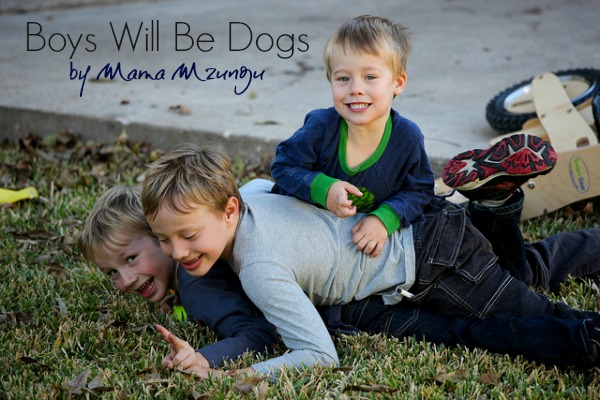 Boys Will Be Dogs by Mama Mzungu {Image courtesy of Lars Plougmann via Creative Commons, some rights reserved}