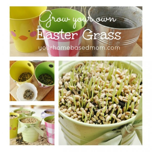 Grow Your Own Grass by Your Homebased Mom