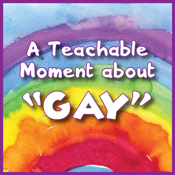 A Teachable Moment About "Gay" by Naptime Writing