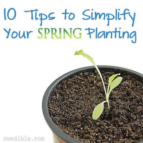 10 Tips to Simplify Your Spring Planting by Northwest Edible Life