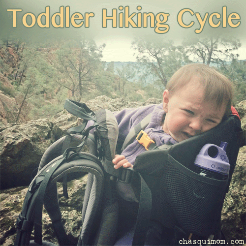 The Toddler Hiking Cycle by Chasqui Mom