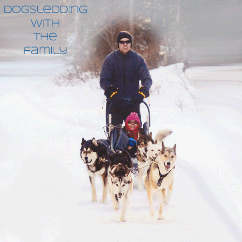 Family Dog Sledding by Family Adventures in the Canadian Rockies