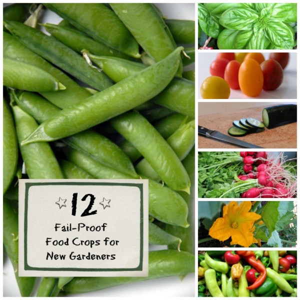 12 Fail-Proof Food Crops for Beginners by Attainable Sustainable
