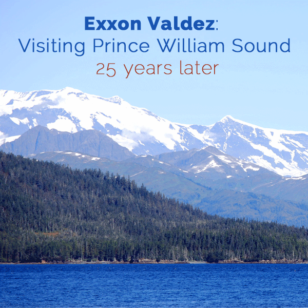 Exxon Valdez: Visiting Prince William Sound 25 Years Later by AK on the Go