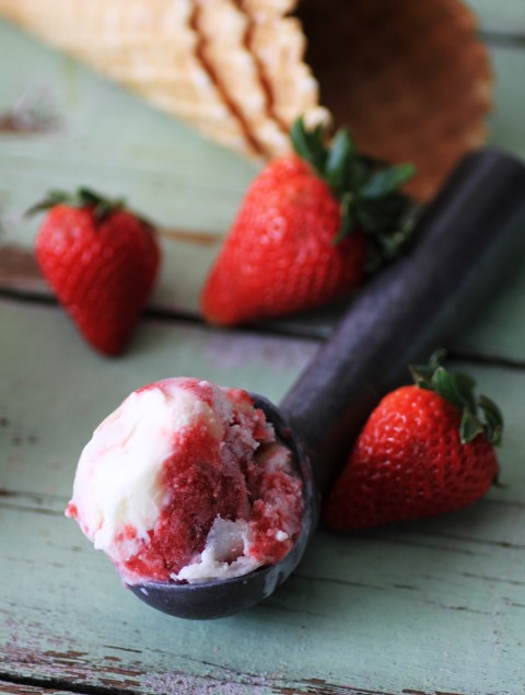 Le'Lemon Berry Ice Cream by Noshing With The Nolands 