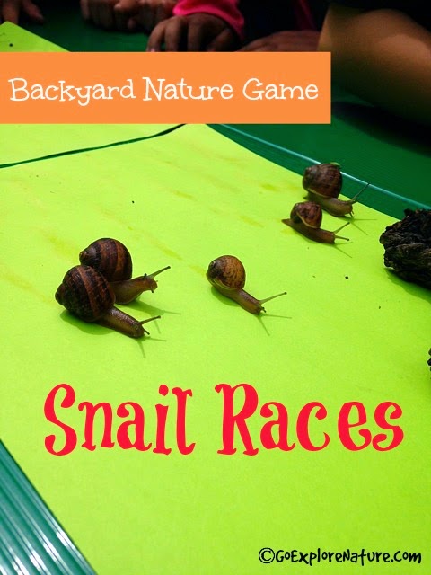 Backyard Nature Game: Snail Races by Go Explore Nature