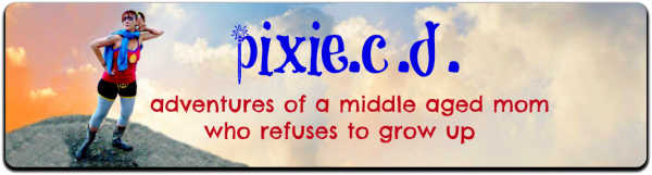 NEW-pixiecd-header-blog.png.pagespeed.ce.0adSkw50st
