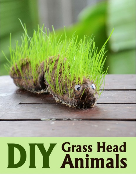 Animal Grass Heads for Kids