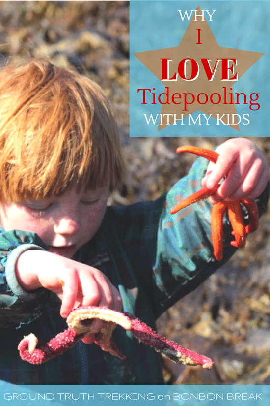 Why I Love Tide Pooling with my Kids by Ground Truth Trekking - tide pooling with kids brings a new level of excitement to the fun