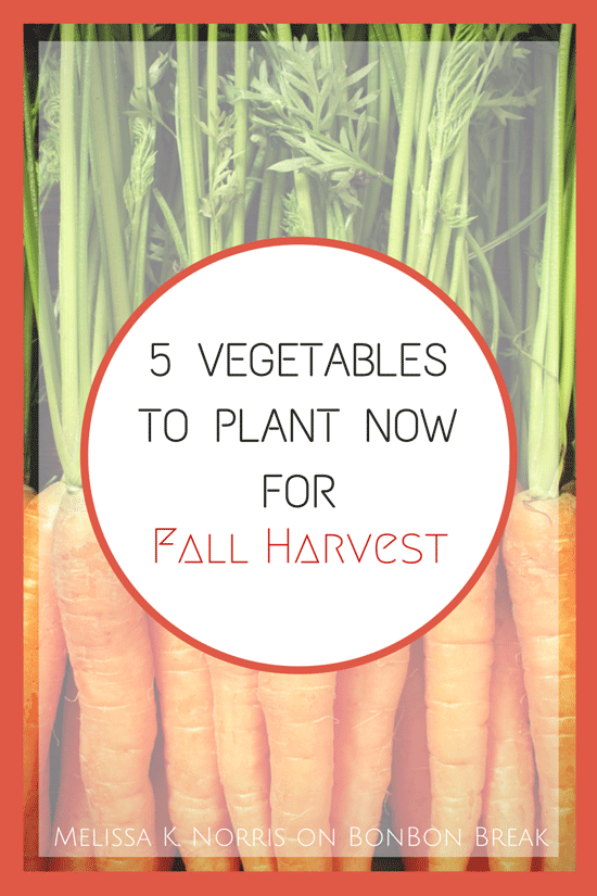 5 Vegetables to Plant Now for a Fall Harvest by Melissa K. Norris