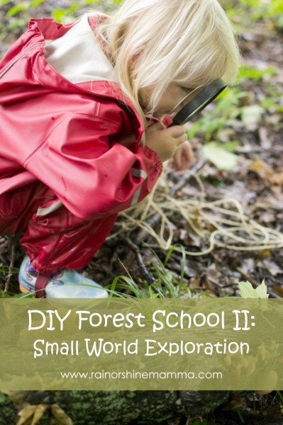 DIY Forest School II: Small World Exploration by Rain or Shine Mamma