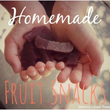 Homemade-Fruit-Snacks