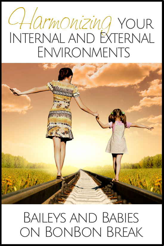 Harmonizing Your Internal and External Environments