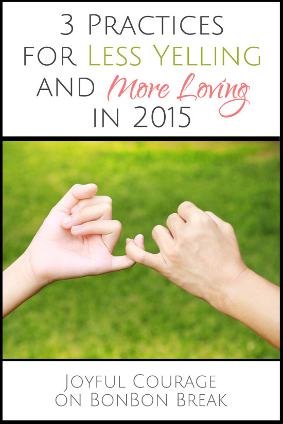 Less Yelling More Love in 2015