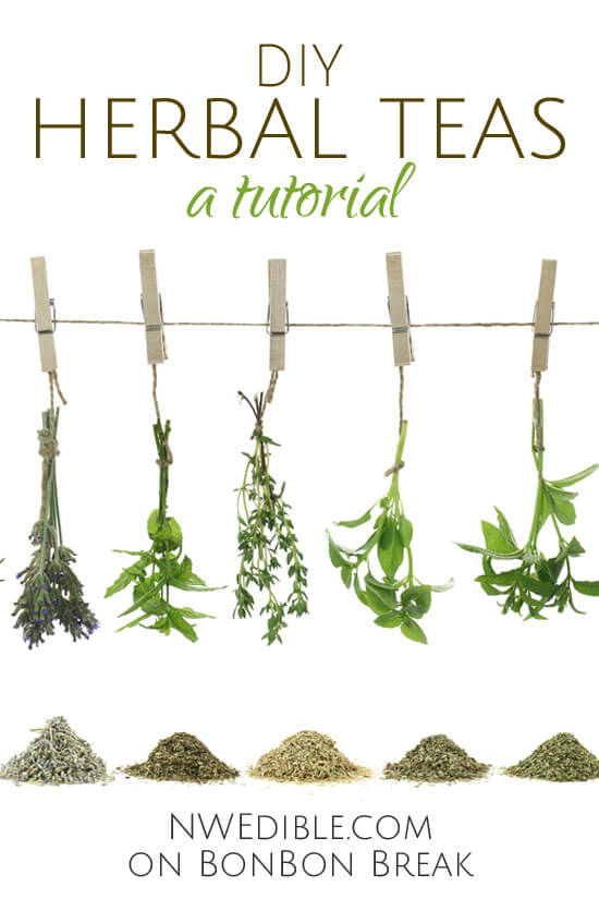 DIY Herbal Teas: A Tutorial