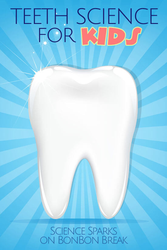 This easy science activity will help illustrate the importance of taking care of your teeth.