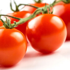 Do’s and Don’ts of Growing Tomatoes