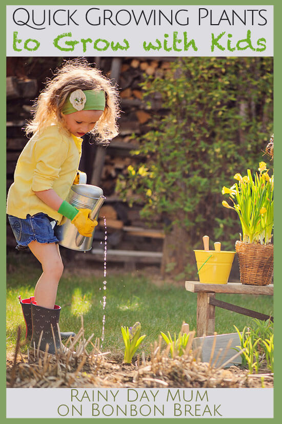 Quick Growing Plants to Plant with Kids
