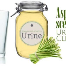 8 Reasons You Must Try the Asparagus Scented Urine Cleanse