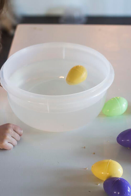 egg science float